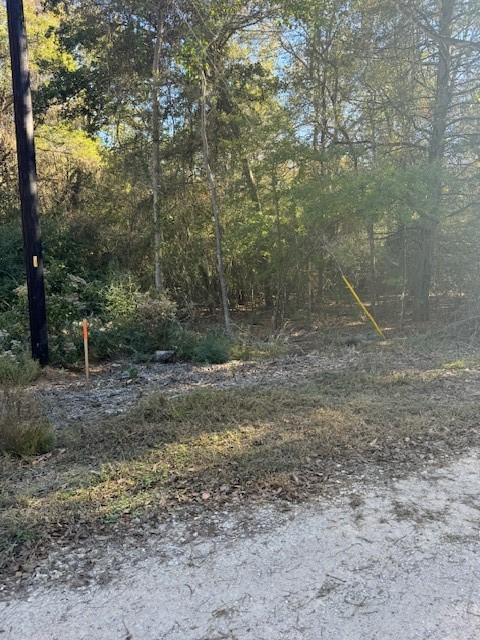 125 Helemano Dr, Bastrop, TX 78602