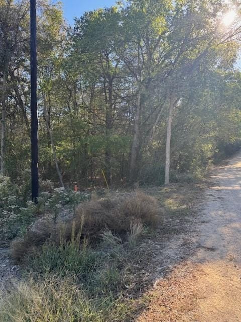 125 Helemano Dr, Bastrop, TX 78602