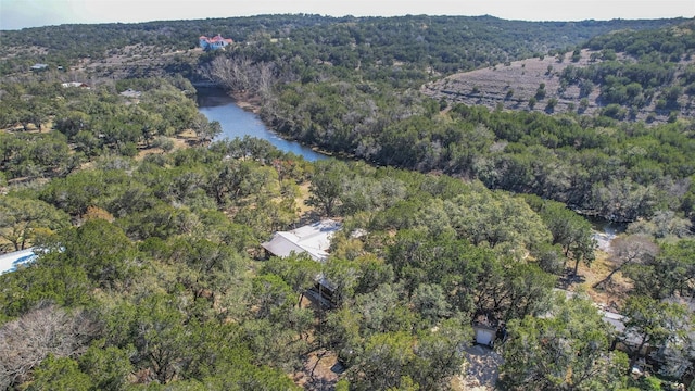 1165 Deer Lake Rd, Wimberley, TX 78676 - photo 5