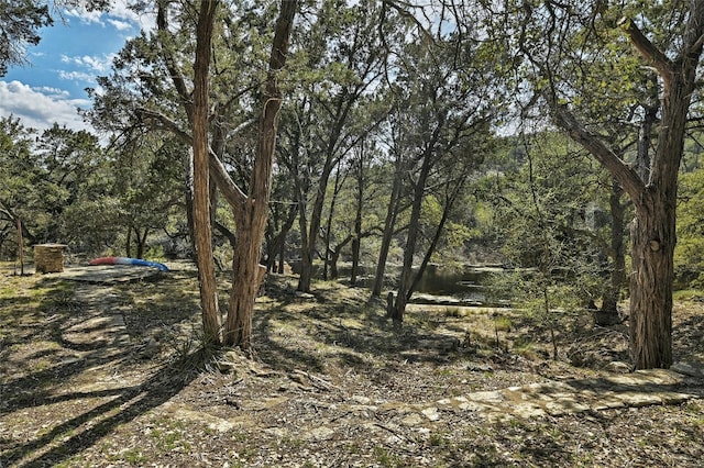 1165 Deer Lake Rd, Wimberley, TX 78676 - photo 22