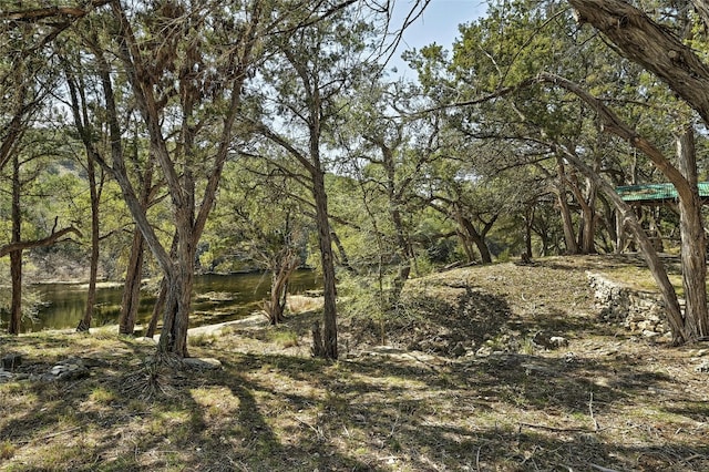 1165 Deer Lake Rd, Wimberley, TX 78676 - photo 24