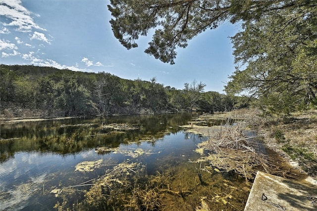 1165 Deer Lake Rd, Wimberley, TX 78676 - photo 26