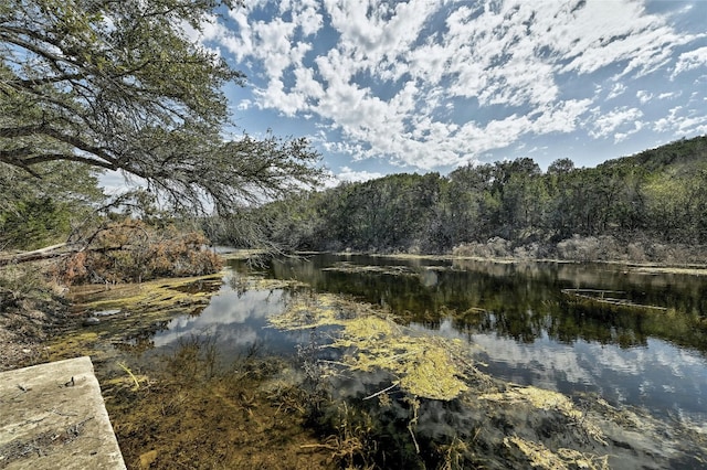 1165 Deer Lake Rd, Wimberley, TX 78676 - photo 27