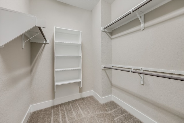 spacious closet featuring carpet