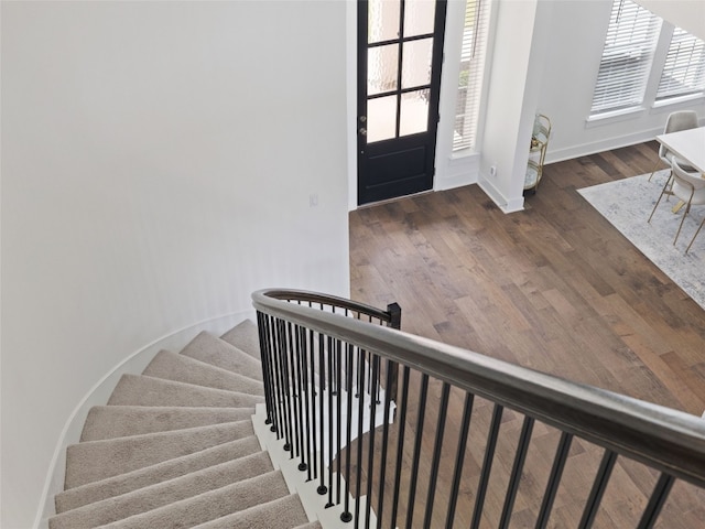 foyer with dark hardwood / wood-style flooring