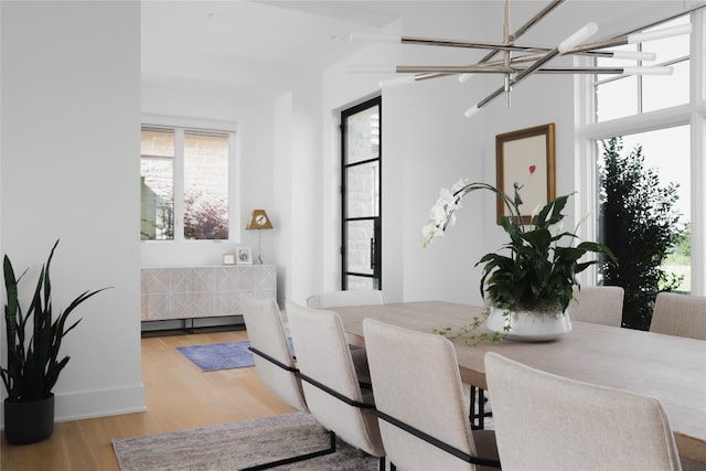 dining space with wood-type flooring