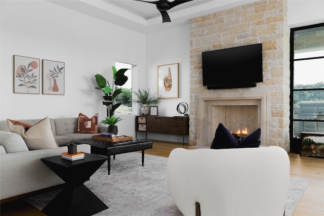 living room featuring a fireplace and light hardwood / wood-style flooring