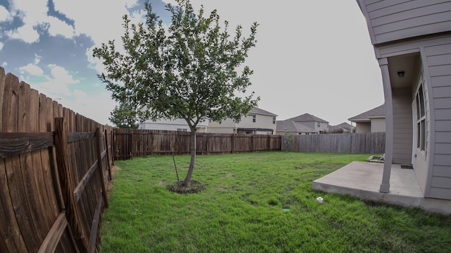 view of yard with a patio