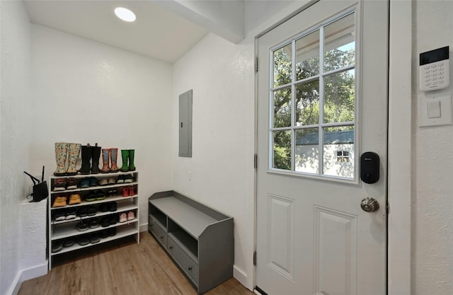 doorway to outside featuring electric panel and hardwood / wood-style floors