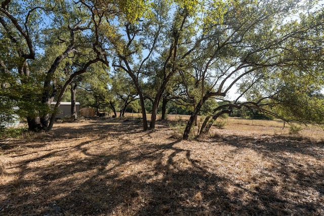 13016 S Madrone Trl, Austin, TX 78737 - view of yard