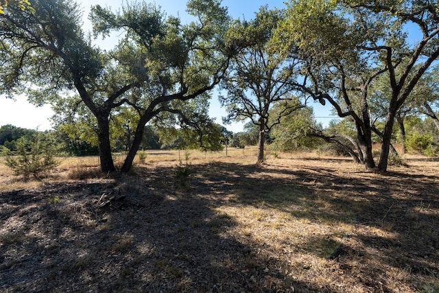 13016 S Madrone Trl, Austin, TX 78737 - view of undeveloped land