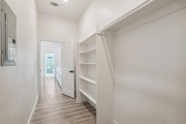 walk in closet featuring light hardwood / wood-style floors and electric panel