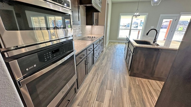 kitchen with black electric cooktop, dark brown cabinetry, light hardwood / wood-style floors, and sink