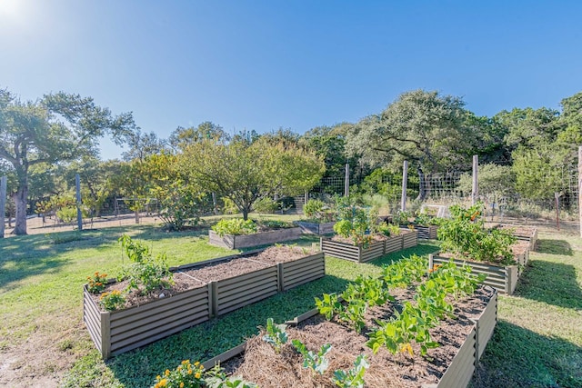 view of community featuring a lawn