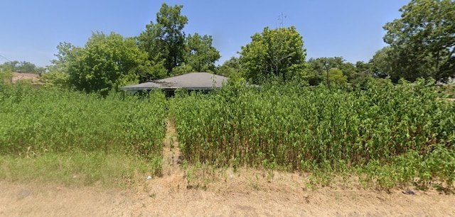 view of local wilderness