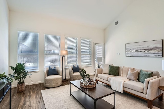 living room featuring wood-type flooring and high vaulted ceiling