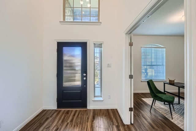 entryway featuring dark wood-type flooring