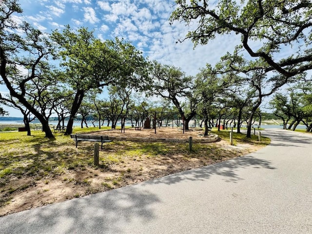 20625 Highland Lake Loop, Lago Vista, TX 78645 - view of community