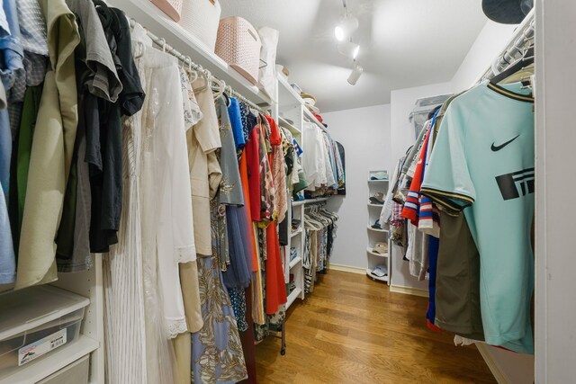 walk in closet with wood-type flooring