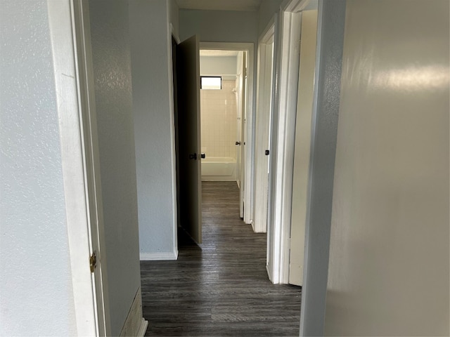 hall featuring dark hardwood / wood-style flooring