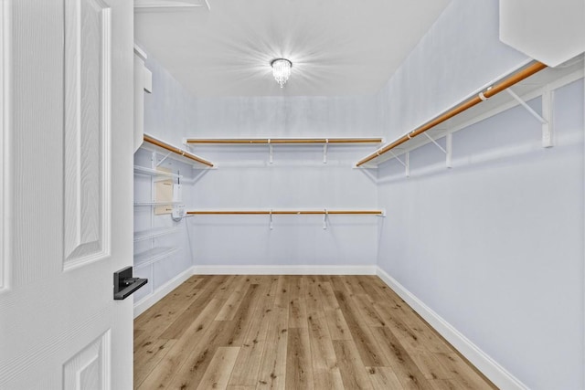 spacious closet with light wood-type flooring