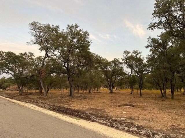 TBDLOT10 County Road 340, Burnet, TX 78611 - photo 8