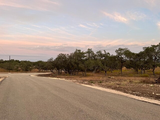 TBDLOT10 County Road 340, Burnet, TX 78611 - photo 5
