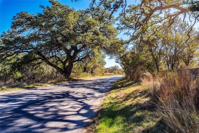 Listing photo 3 for 1897 Creek Rd, Dripping Springs TX 78620