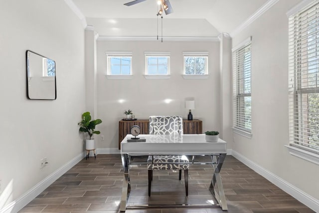 office area featuring crown molding, dark hardwood / wood-style flooring, and ceiling fan