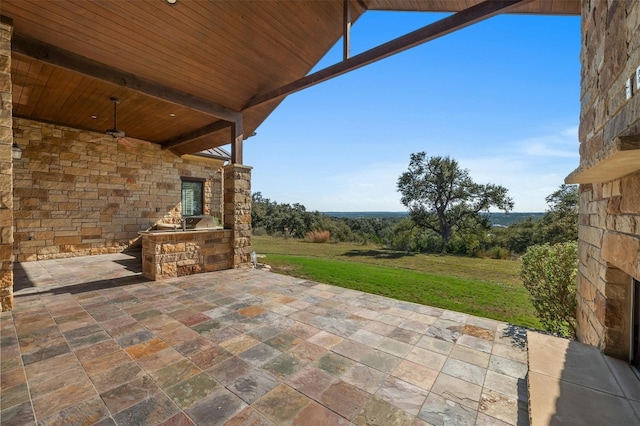 view of patio / terrace with exterior kitchen