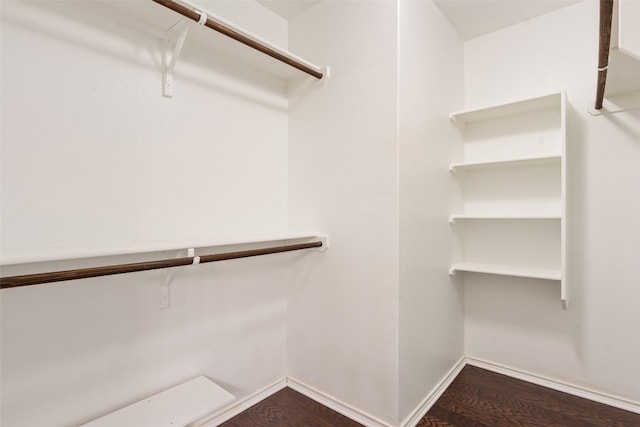 walk in closet with dark hardwood / wood-style flooring