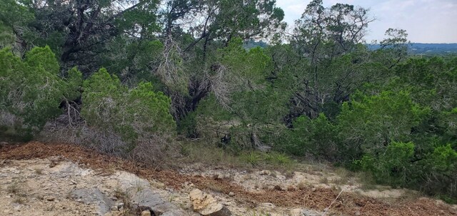 2303 Pace Bend Rd S, Spicewood, TX 78669 - photo 2