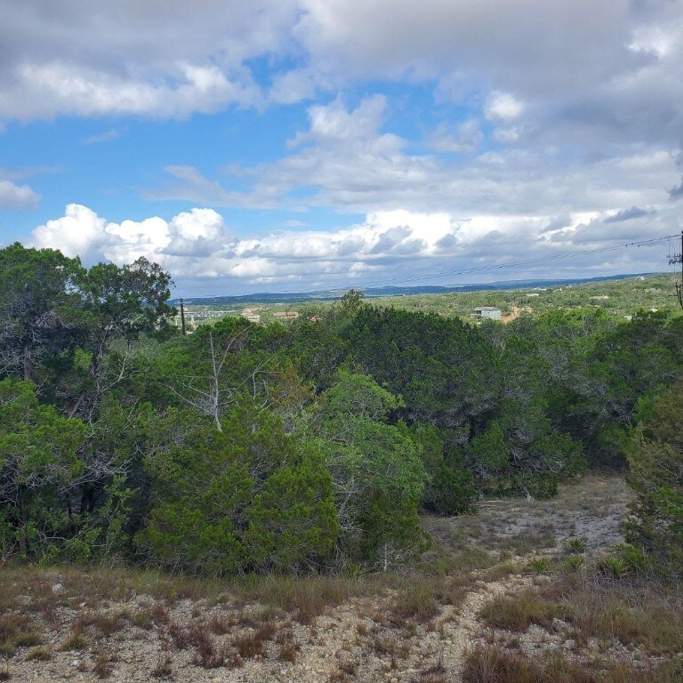 2303 Pace Bend Rd S, Spicewood, TX 78669 - photo 4