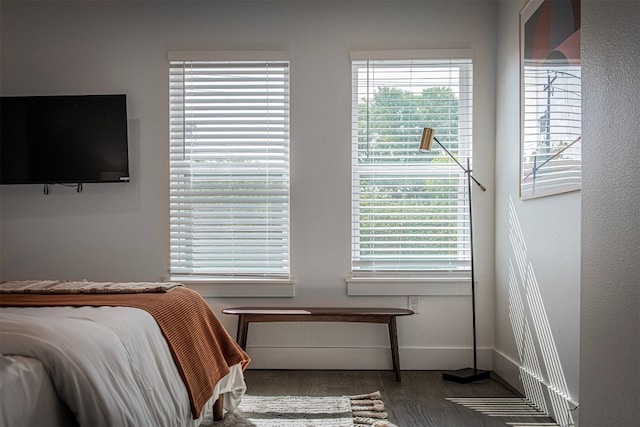 bedroom with dark hardwood / wood-style floors and multiple windows