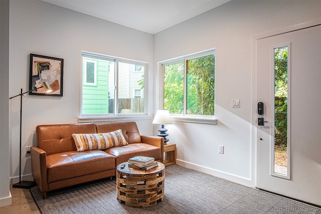 living room featuring carpet floors