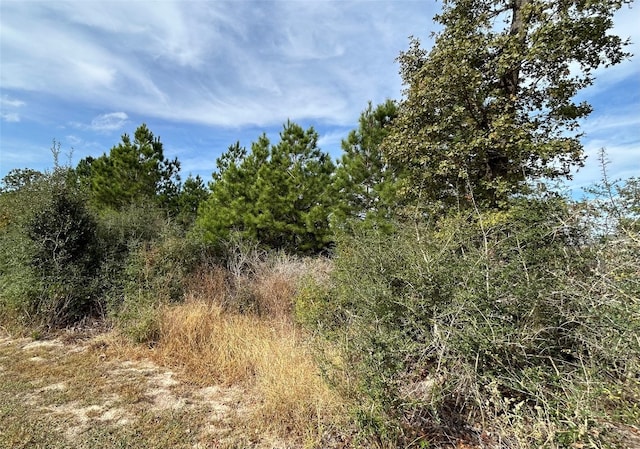 TBD Jim Bowie Dr, Paige TX, 78659 land for sale