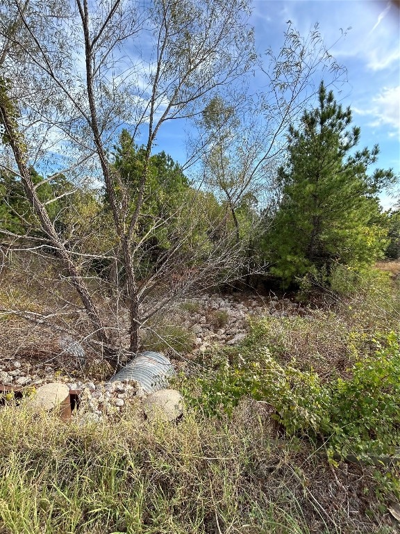 Listing photo 3 for TBD Jim Bowie Dr, Paige TX 78659