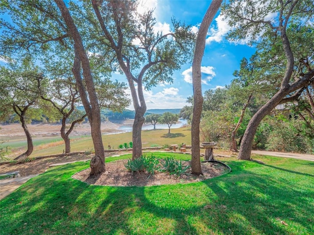 view of yard featuring a water view