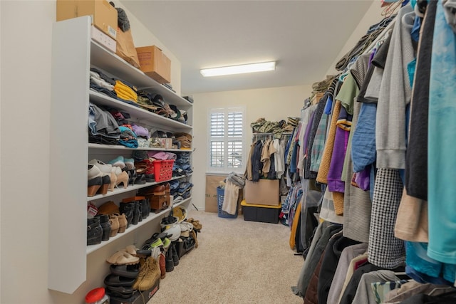 walk in closet featuring carpet floors