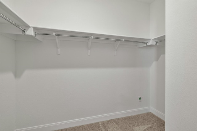 walk in closet with carpet