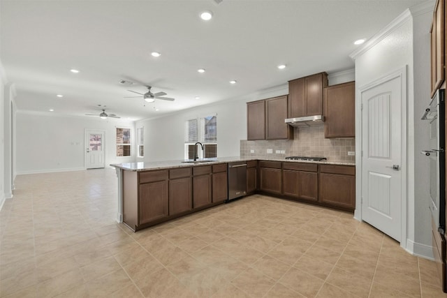 3601 Lapio Way, Round Rock, TX 78665 - kitchen with stainless steel dishwasher, a sink, ornamental molding, a peninsula, and decorative backsplash