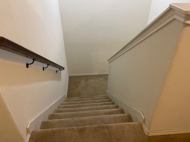 stairway featuring carpet flooring