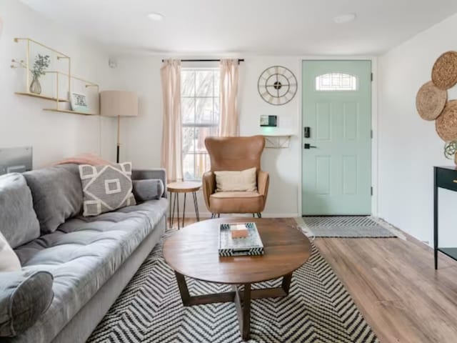 living room with wood-type flooring