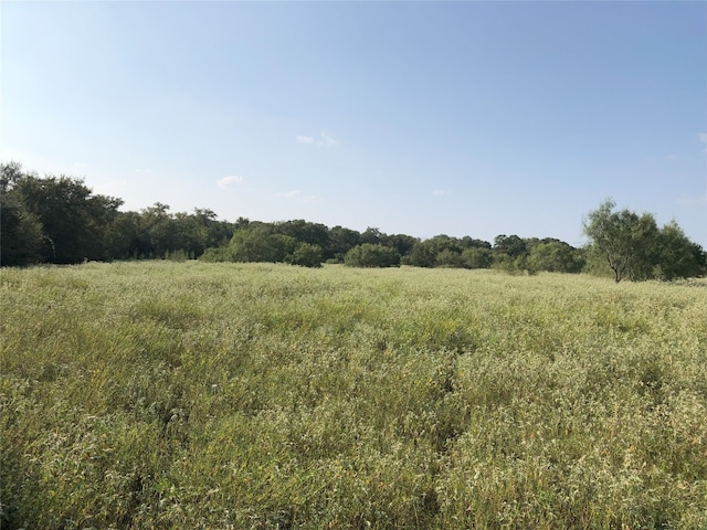 3B Wild Plum Rd, Dale TX, 78644 land for sale