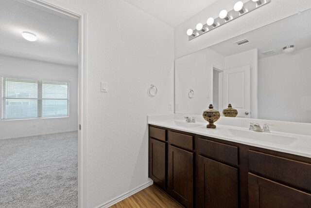 bathroom featuring wood-type flooring and vanity