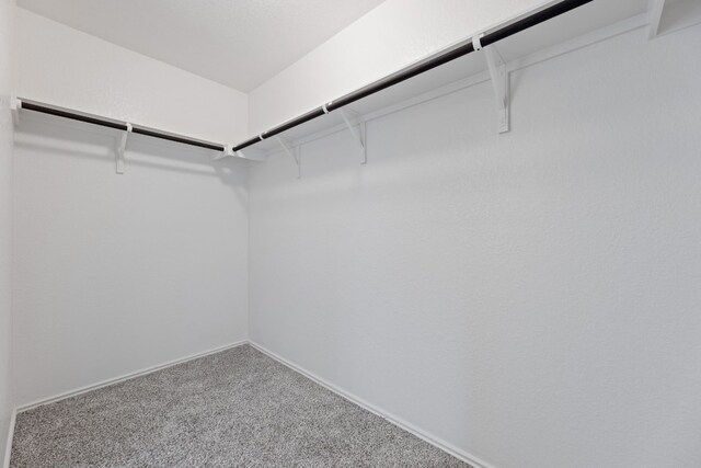 walk in closet featuring carpet