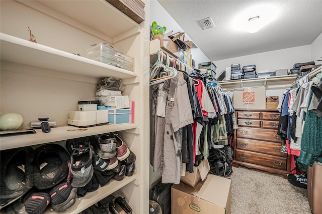 spacious closet featuring light carpet