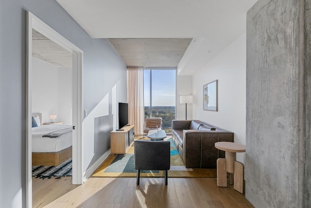 living room featuring expansive windows and light hardwood / wood-style flooring