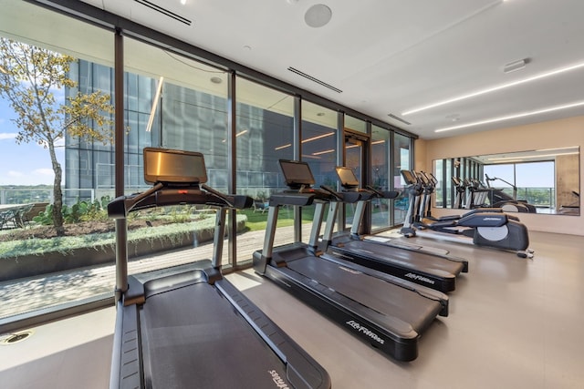 gym with expansive windows