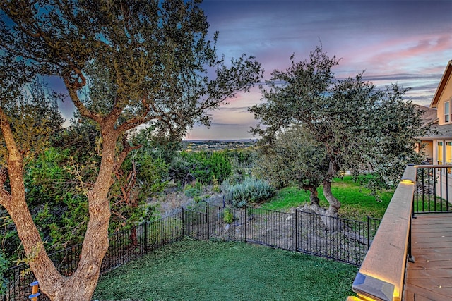 view of yard at dusk